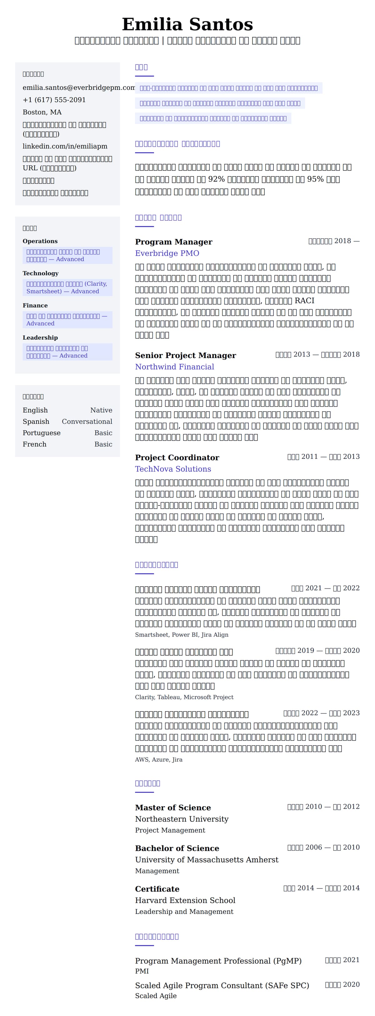 कार्यक्रम प्रबंधक रिज्यूमे उदाहरण के लिए रिज्यूम पूर्वावलोकन