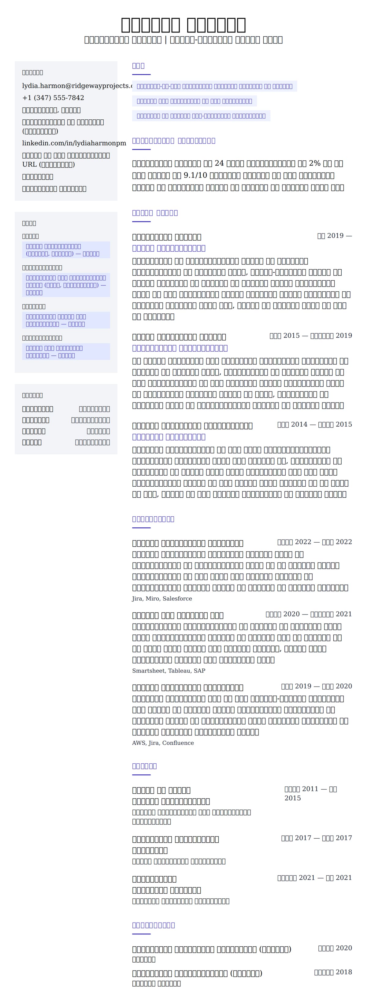 प्रोजेक्ट मैनेजर रिज्यूम उदाहरण के लिए रिज्यूम पूर्वावलोकन