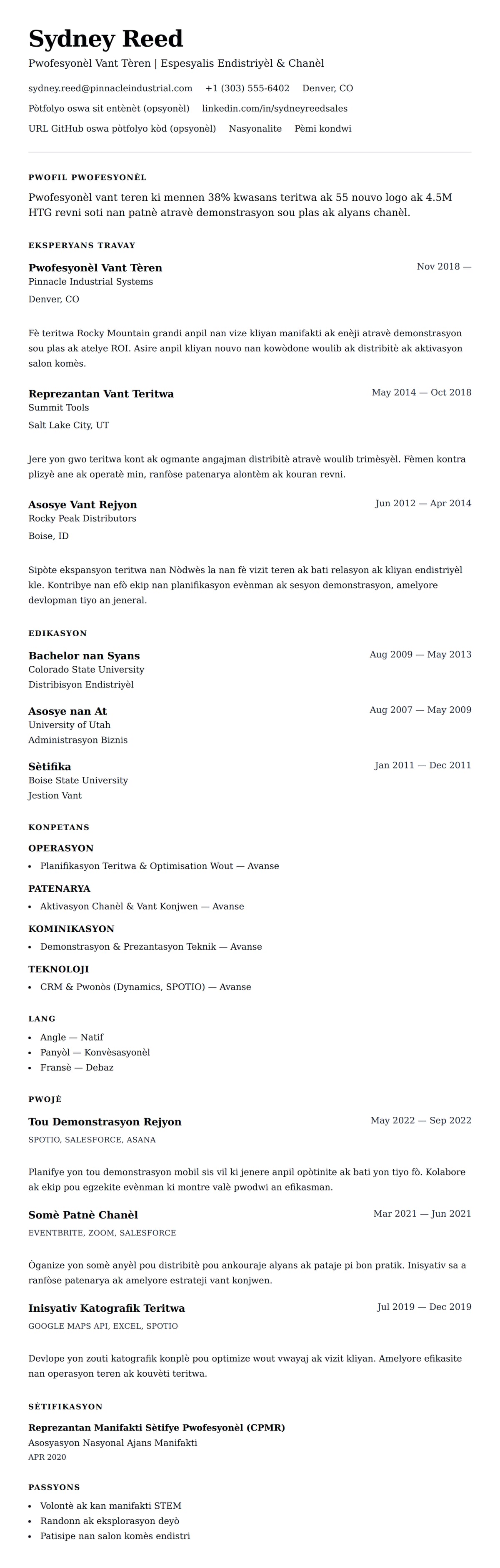 Premye gade rezime pou Egzanp Rezime Pwofesyonèl Vant Tèren