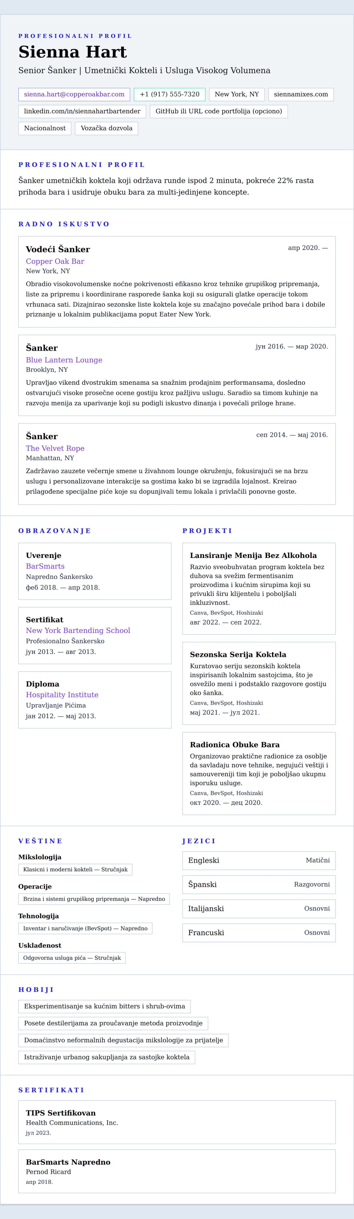 Pregled životopisa za Primer Životopisa Šankera