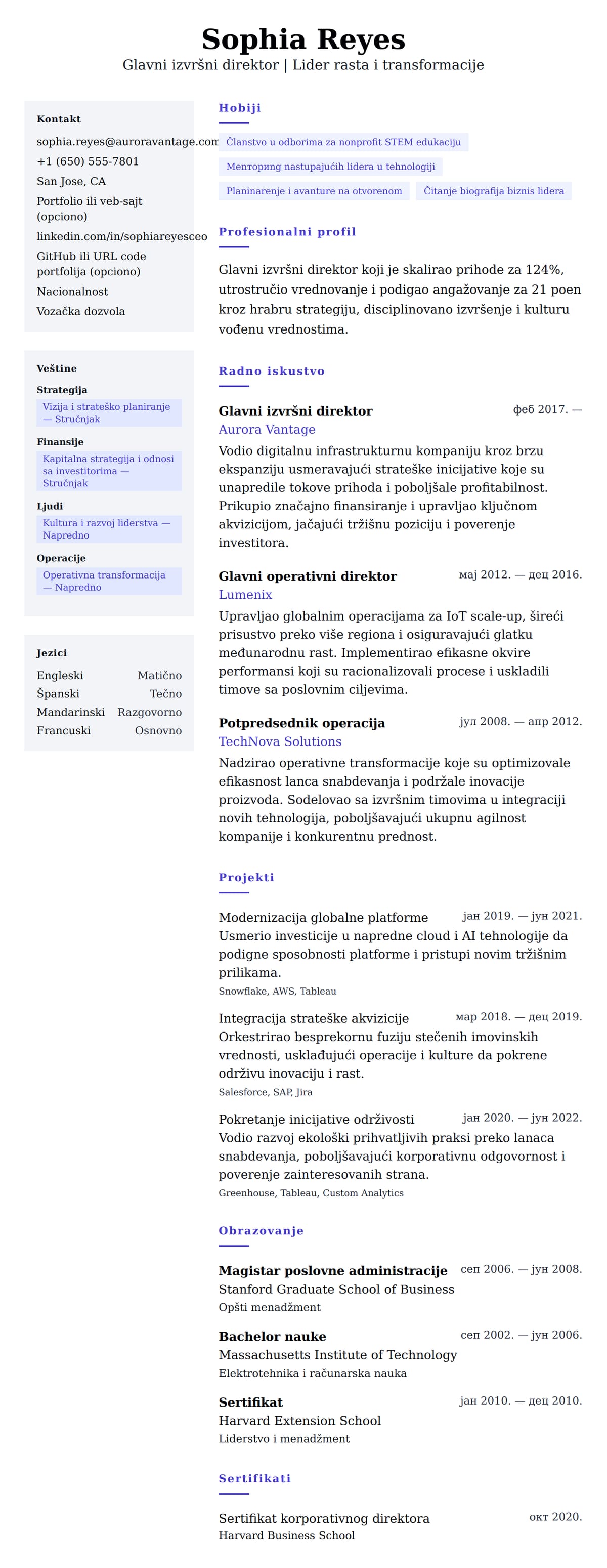 Pregled životopisa za Primer životopisa glavnog izvršnog direktora