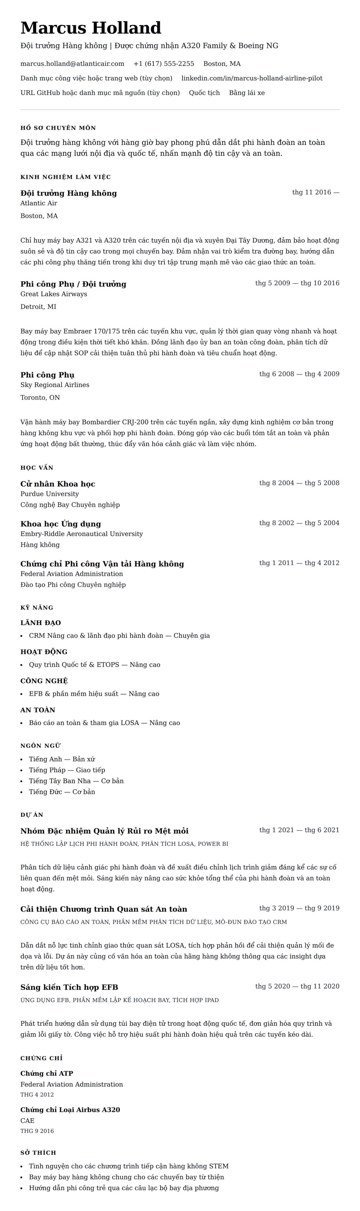 Xem trước CV cho Ví dụ Sơ yếu lý lịch Phi công Hàng không